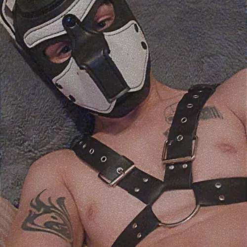 Who wants to spoil this pup???