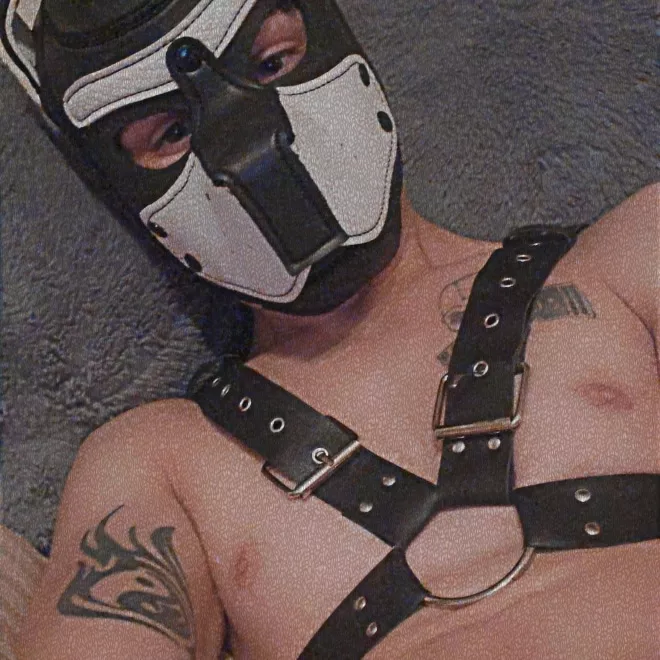 Who wants to spoil this pup???