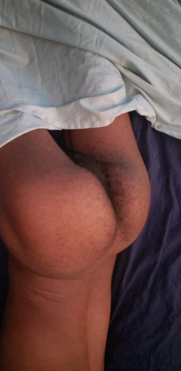 A hairy ass for a hairy cock?