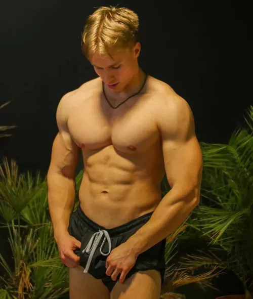 “Aaron Schoening” …