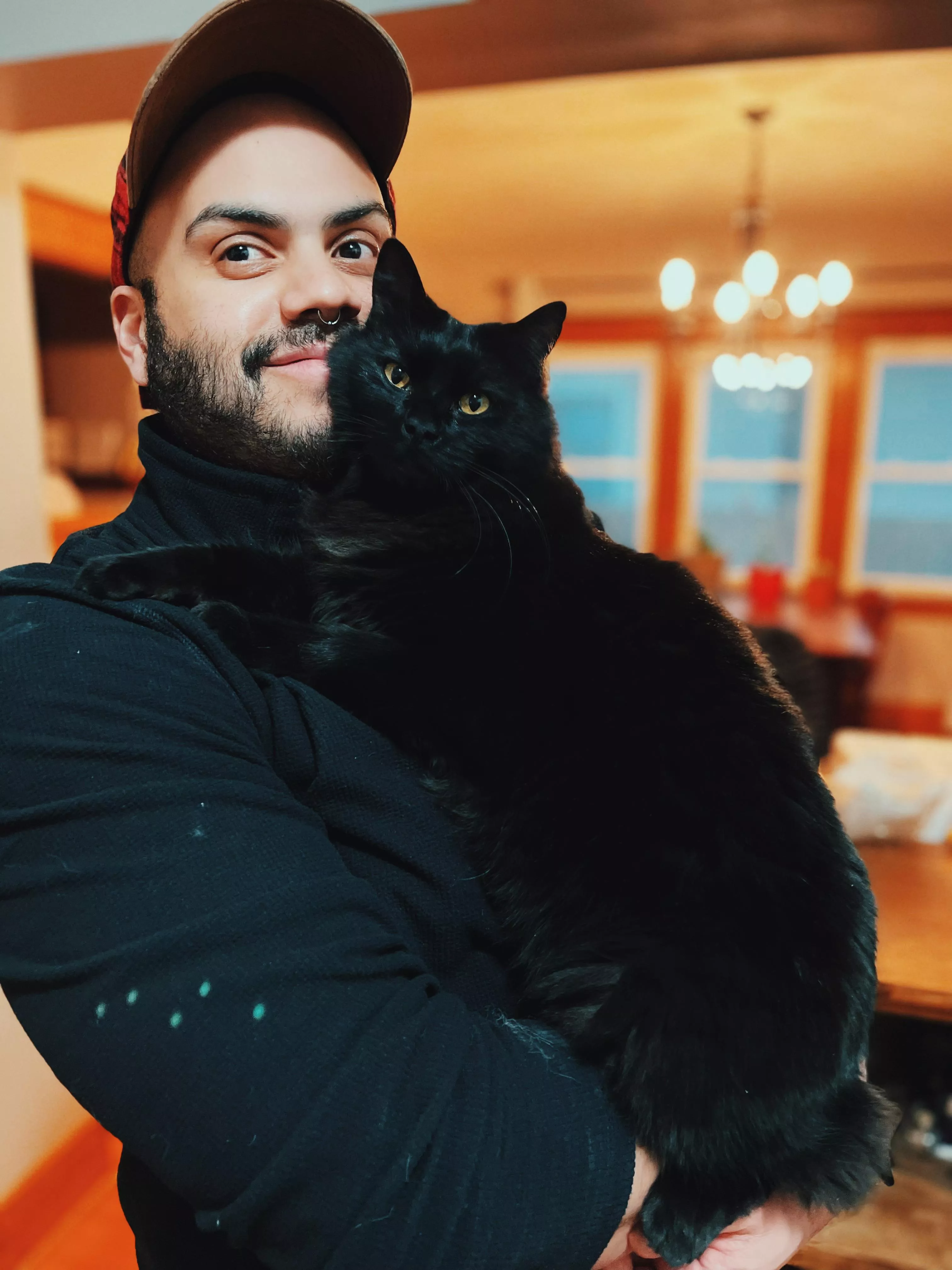 Are you a dog person or cat person? Are you a dog person or cat person?