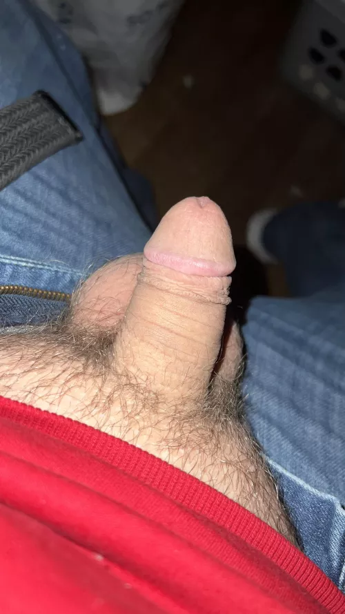 Haven’t posted in a while. Maybe I could get a little love this Friday night?