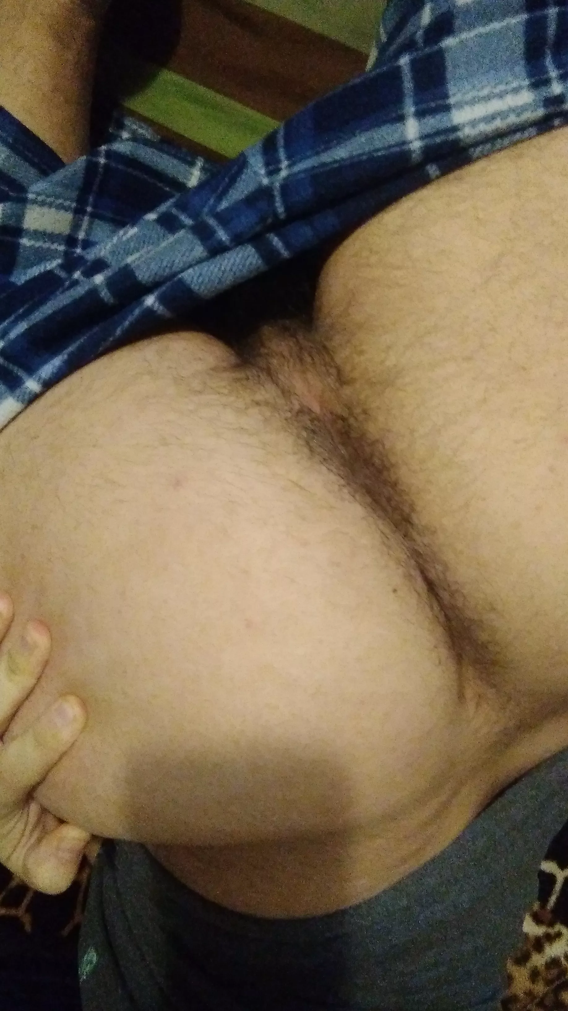 Hoping to have a full fuzzy ass soon