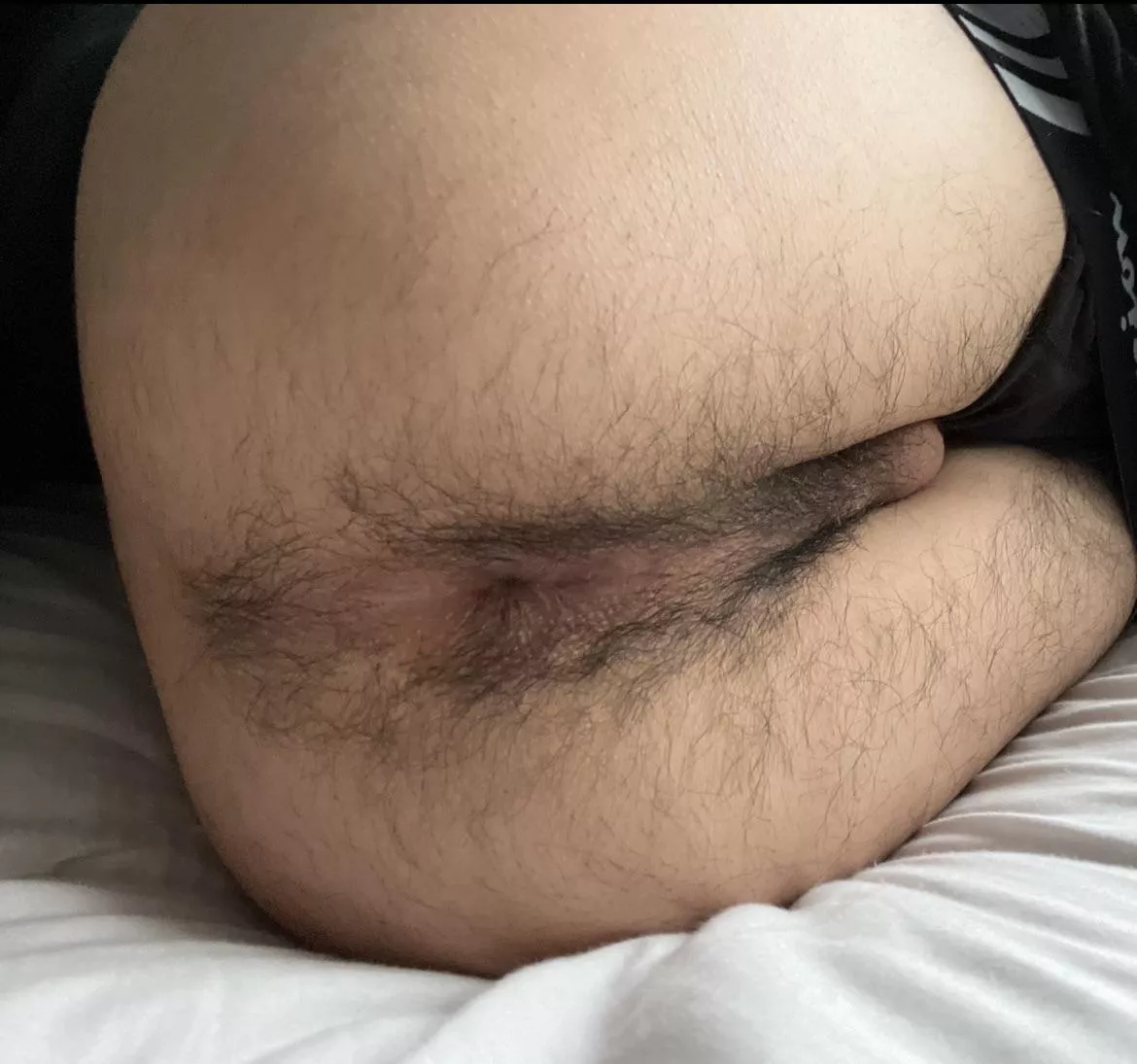 how do you guys like hairy college ass ;)