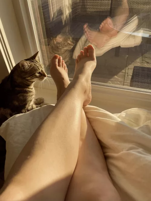 Is there anything better than a Saturday morning? 💛