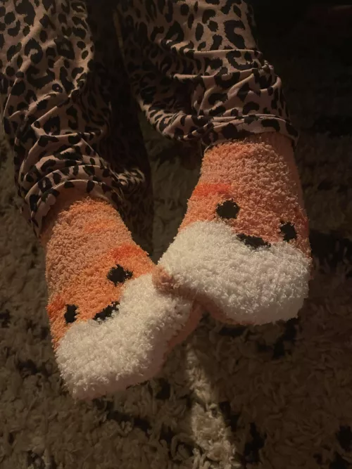 My cozy Saturday friends :)