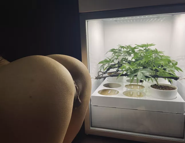 My girls 🍁🍑 [f]