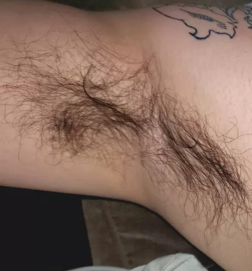 need a tongue and a scruffy face in there