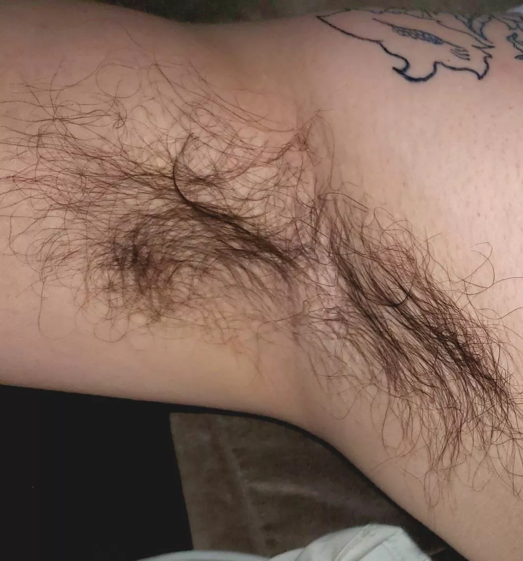 need a tongue and a scruffy face in there