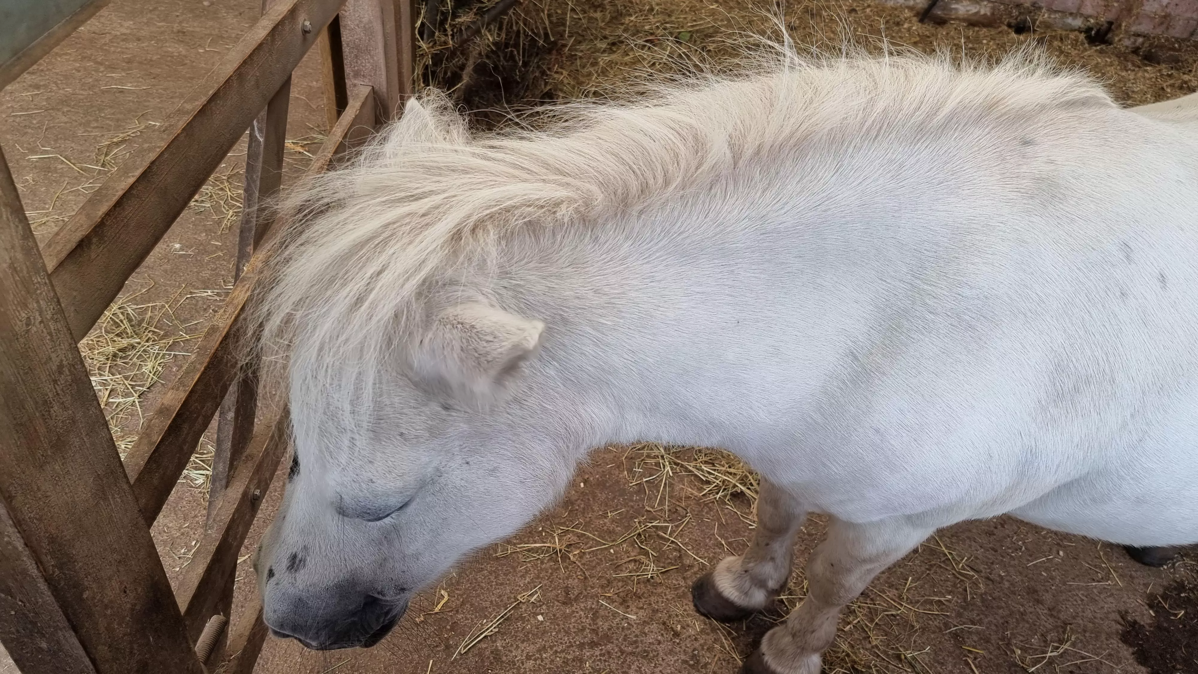 Please help me with dmz I have so many missions I need help with :'(