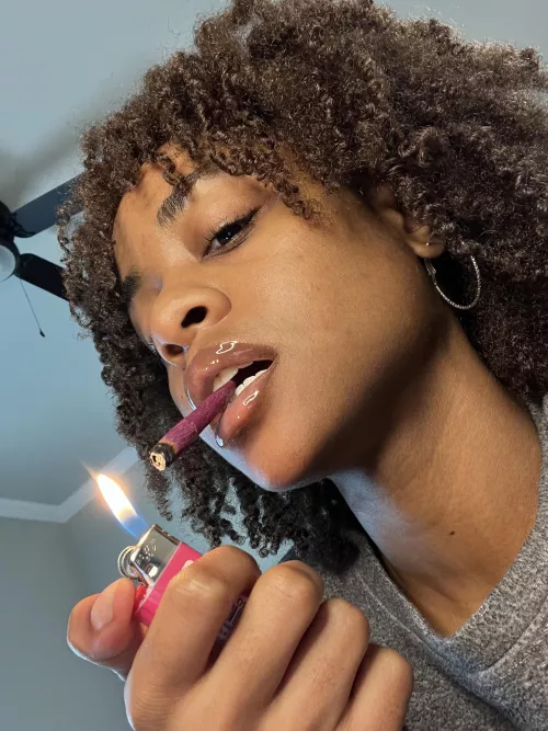 Smoke Purple Rose Cones🌹