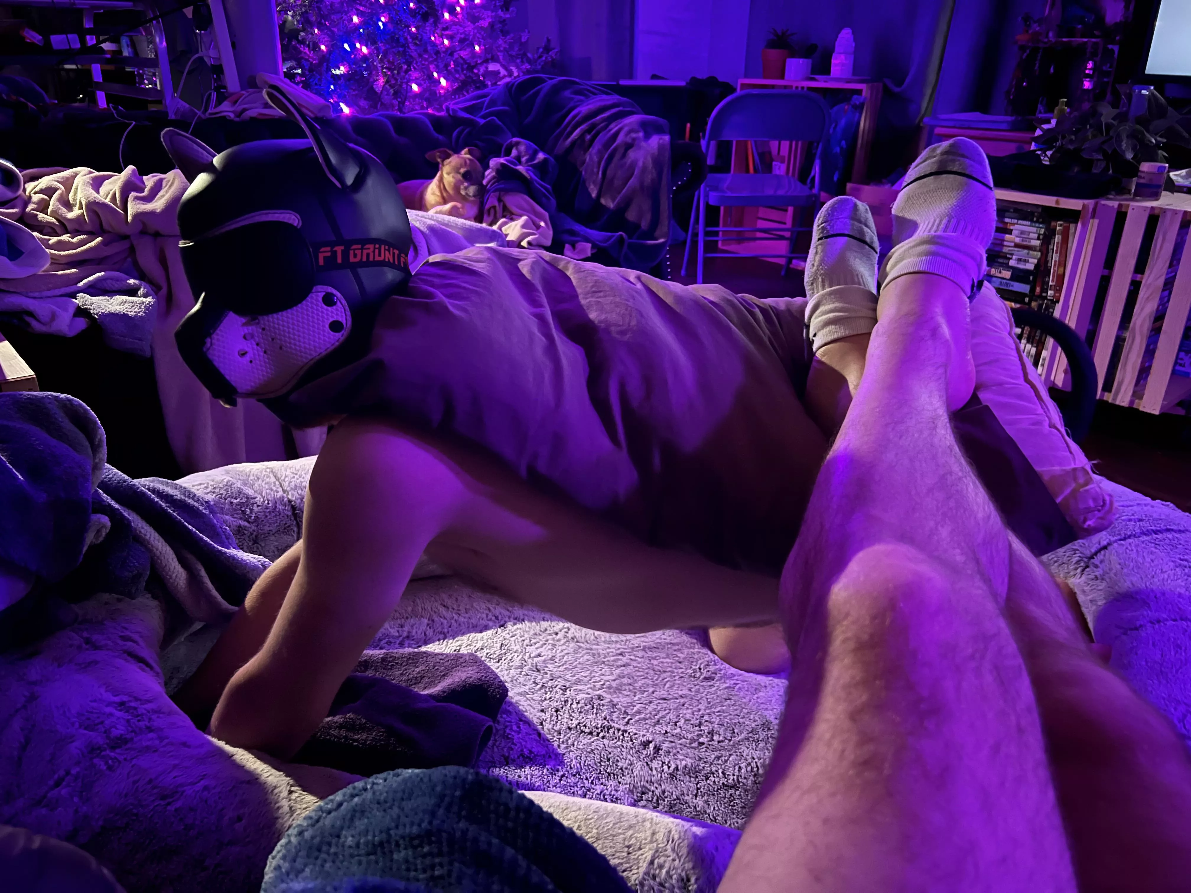 Turned my pup into a foot stool