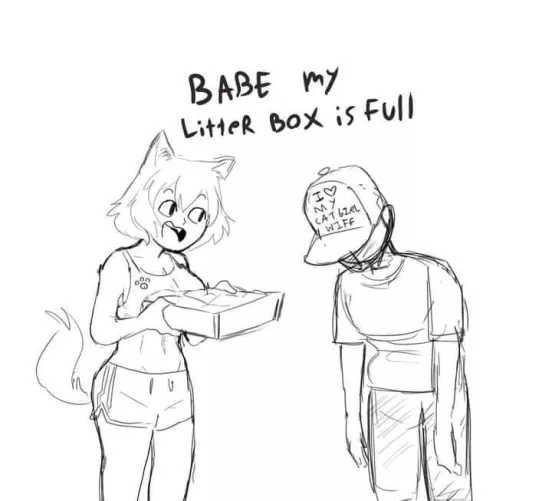 Why can't You use the Toilet?