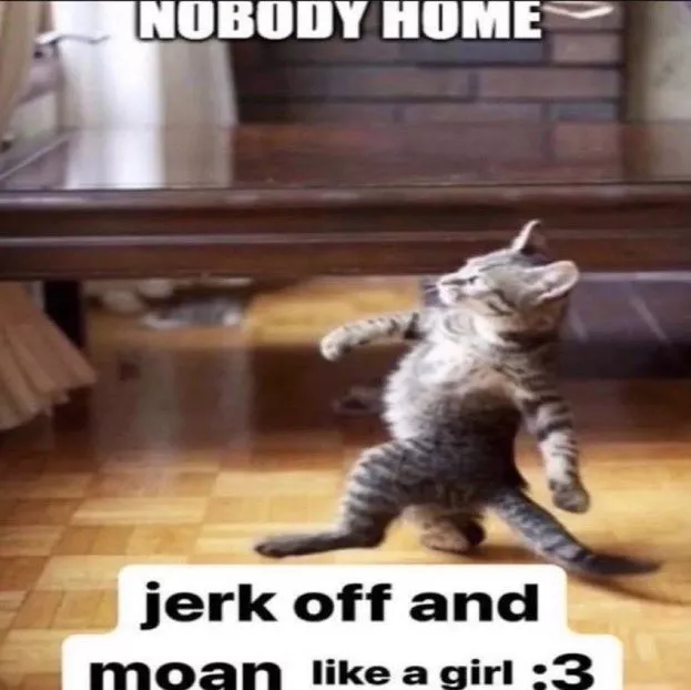 a good part of the subs here