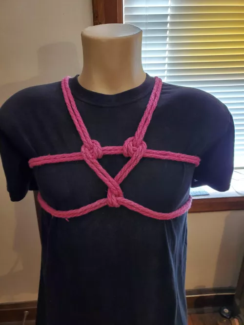 A quick Valentine's Day chest harness