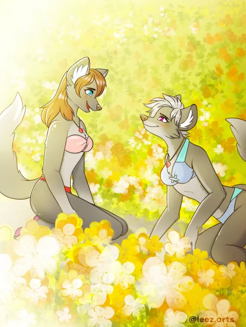 cheap couple coms open