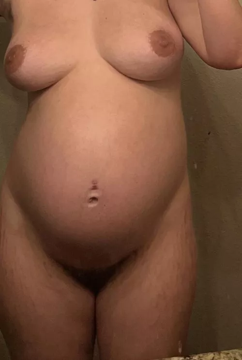 Cream pie is nearly finished baking