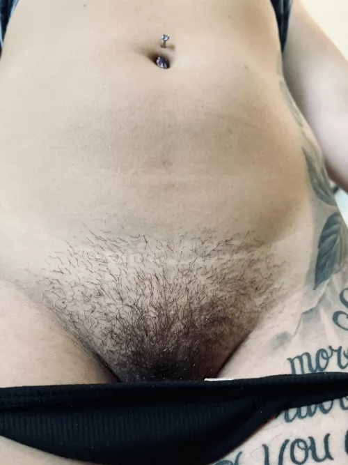 Do you think I can grow a big bush? 🤷🏻‍♀️