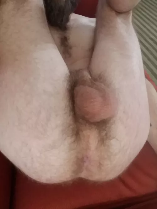 fuzzy bum for your pleasure [34]