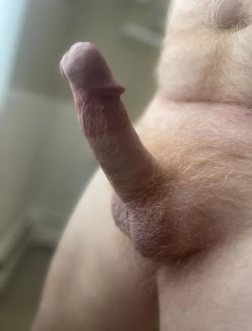 Ginger pubes