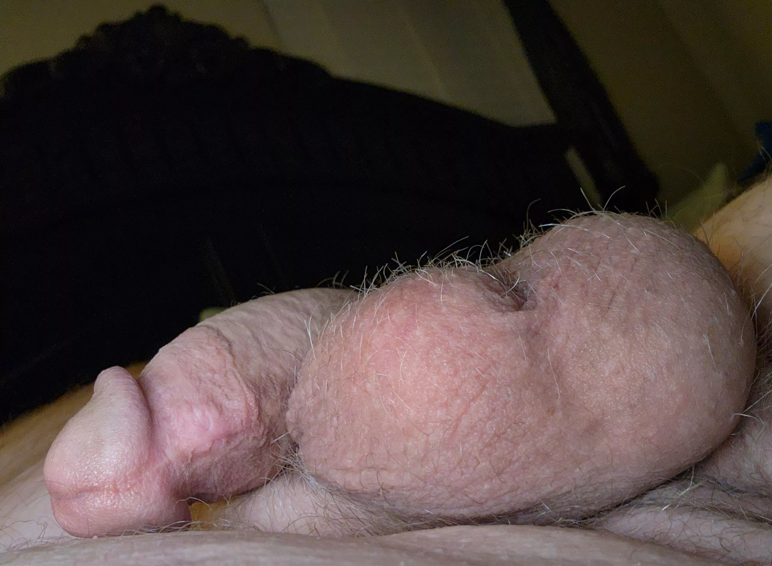 I need someone to wake Willie up!