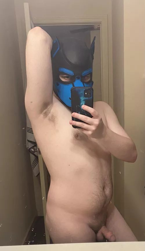 I’m a good pup, I promise!