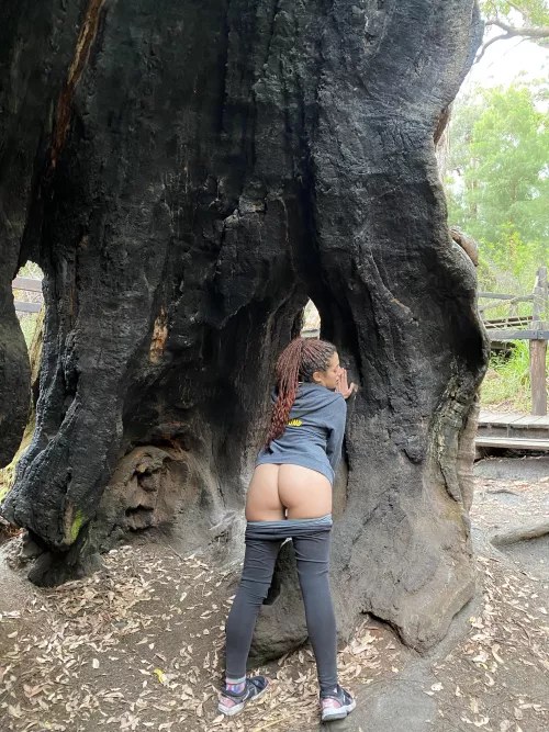 Just masturbating during a hike😈(f)