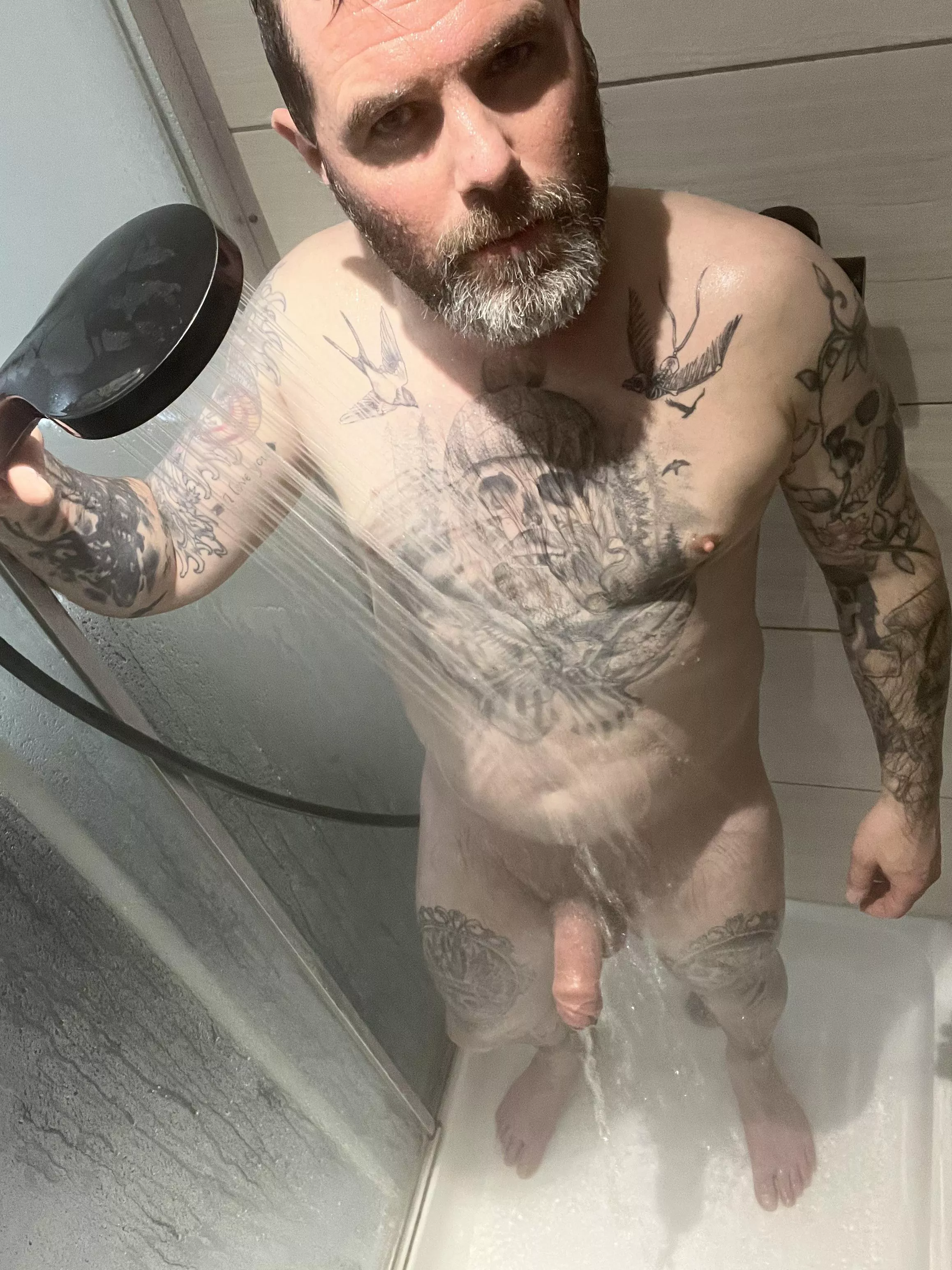 Looking way silver Looking way silver