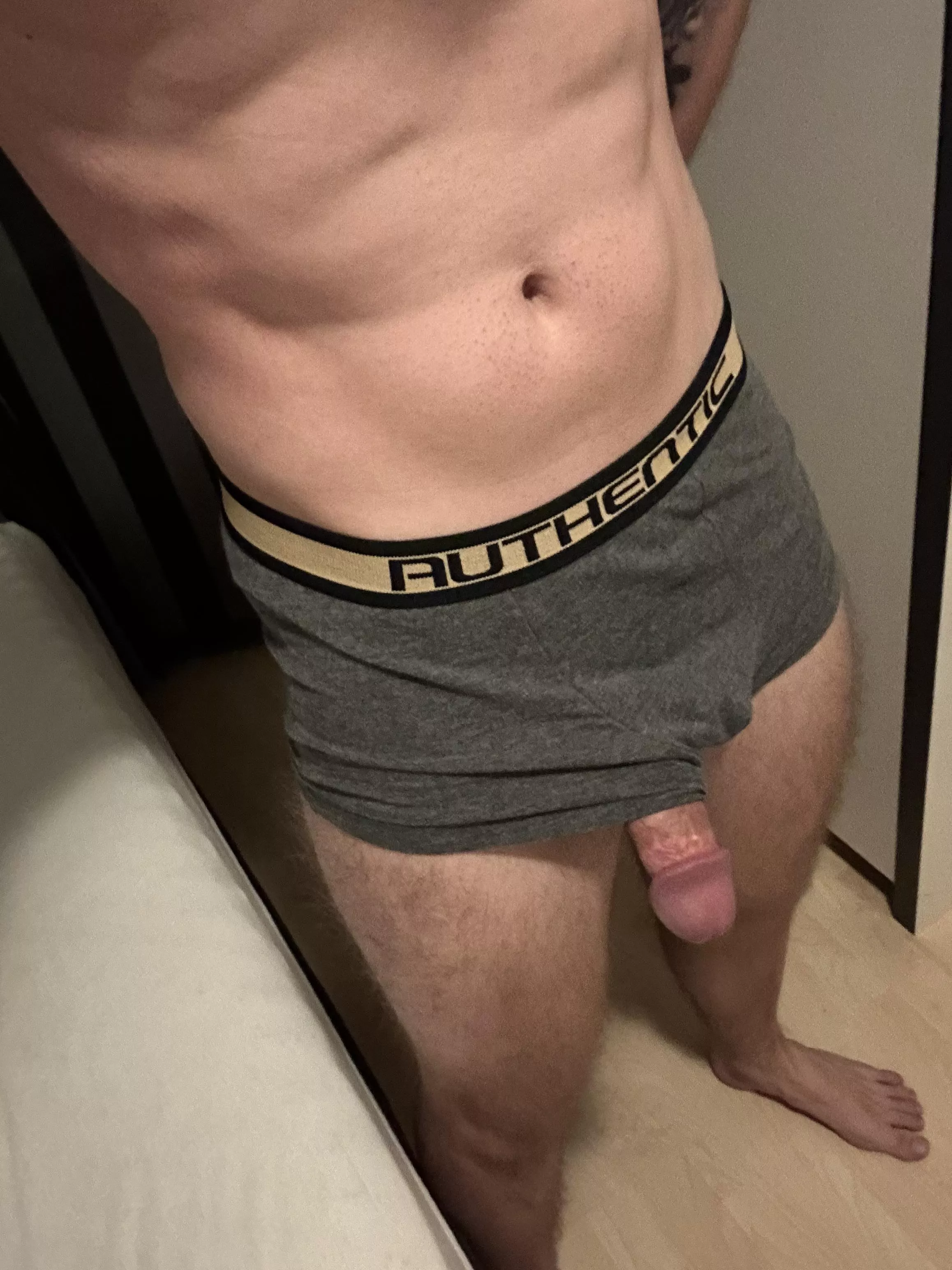 Oversized, muscular bull looking to pump a slut full with cum