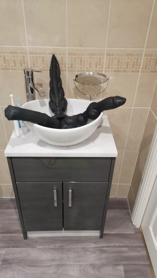 portal to the pleasure dimension opened in my sink can someone help me with this