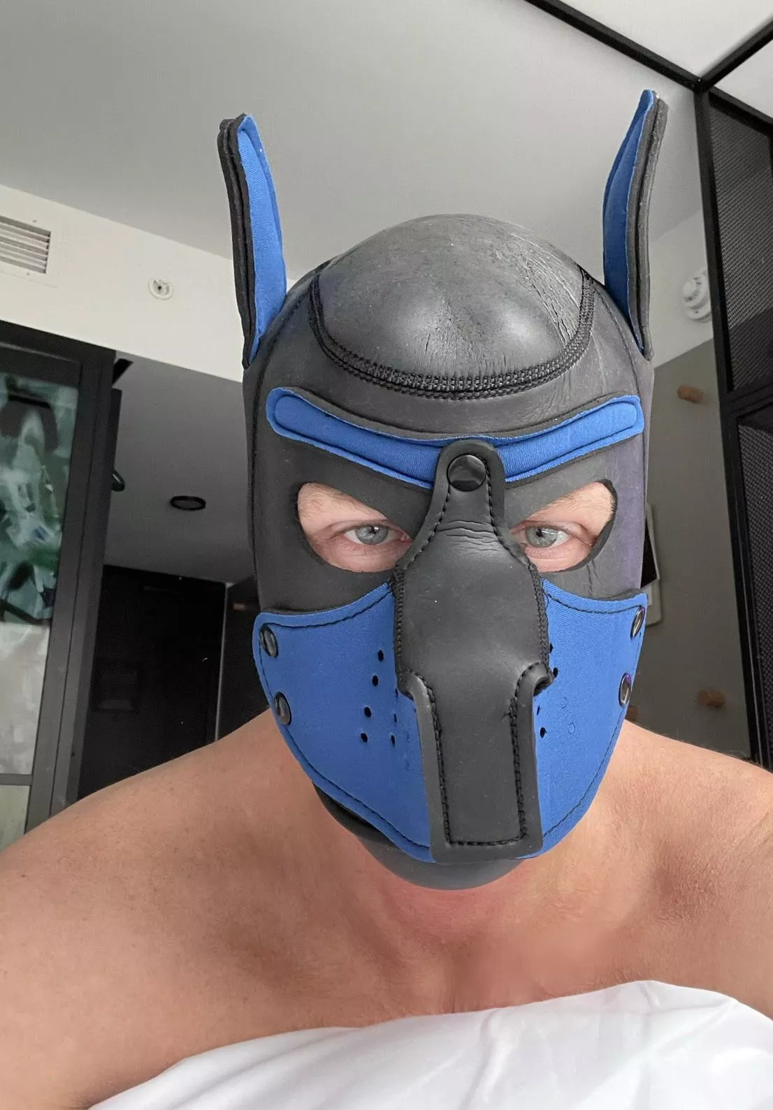 Ready to be dominated