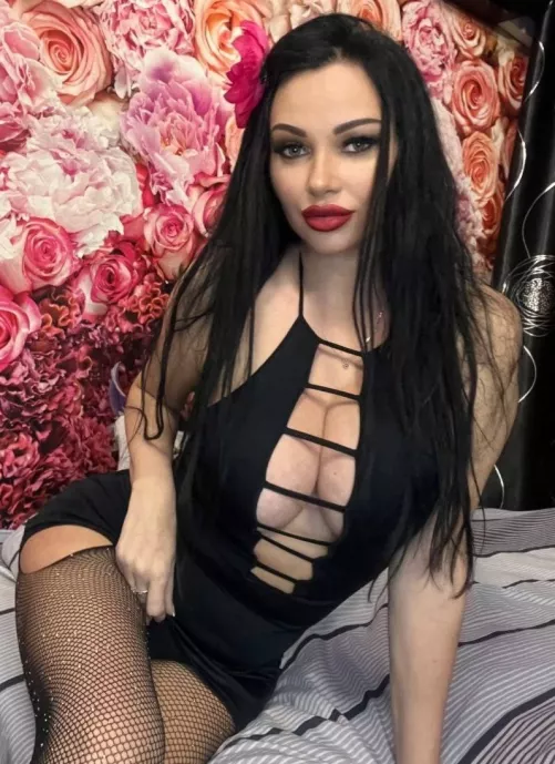 Shall we try a new bed ?