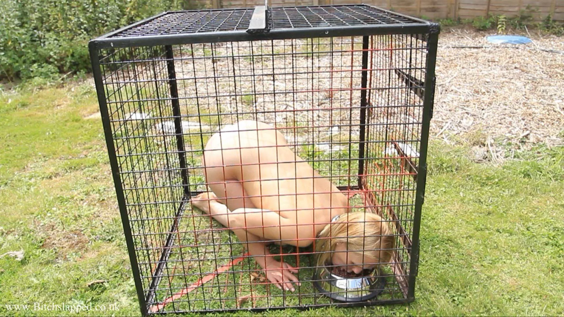 She really wished he would reverse his no pets inside the house rule.