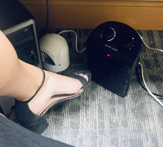 These little piggies need some warmth 🐷