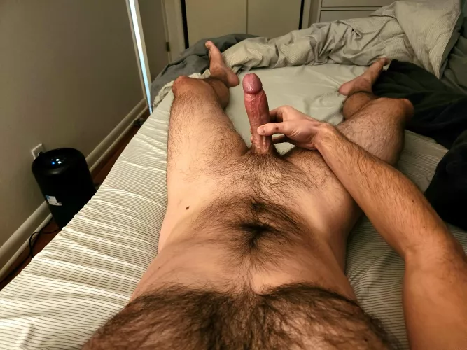 What a lazy Sunday looks like around here.