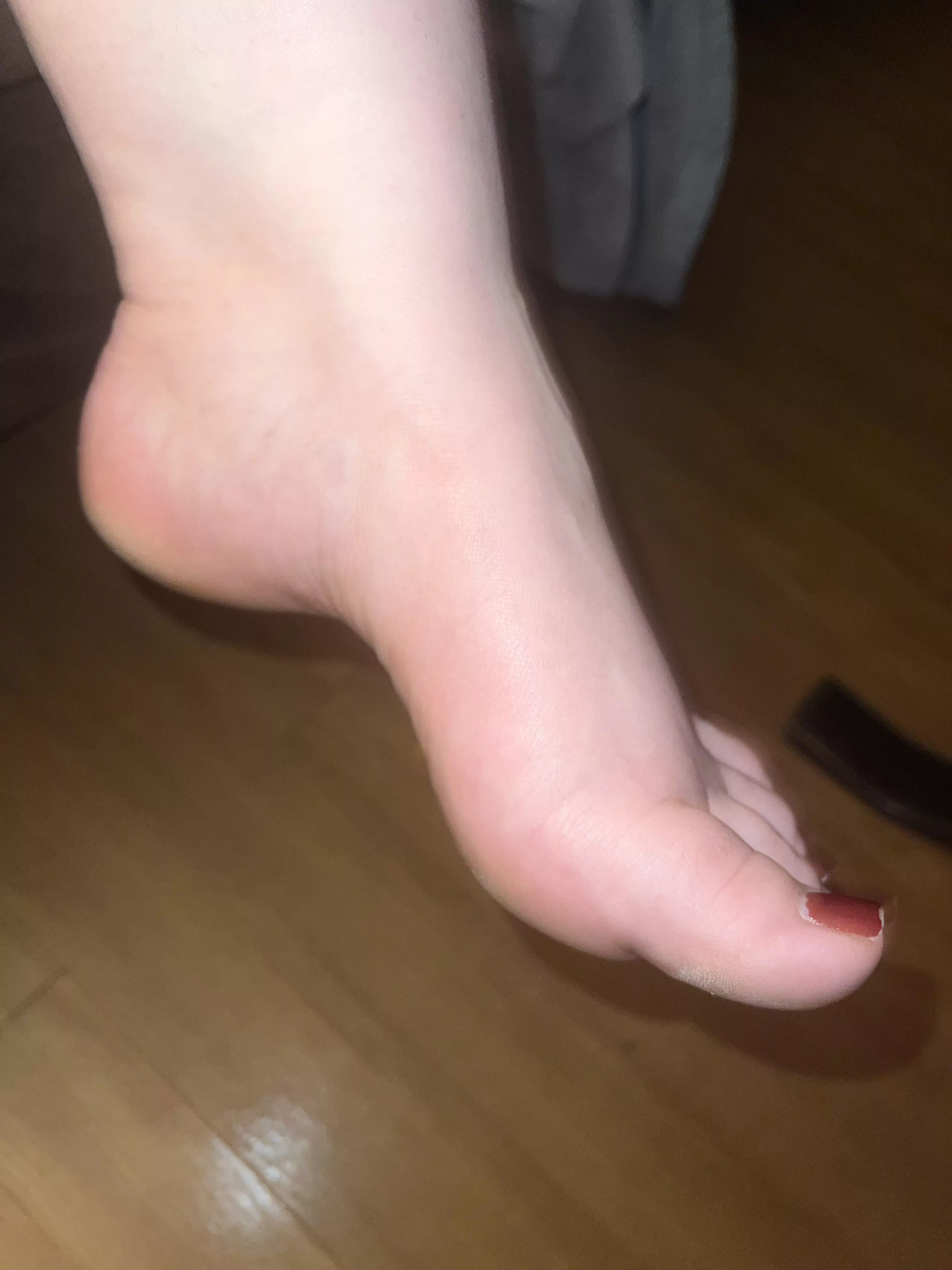 You come down for a late night snack and see this. Wwyd?