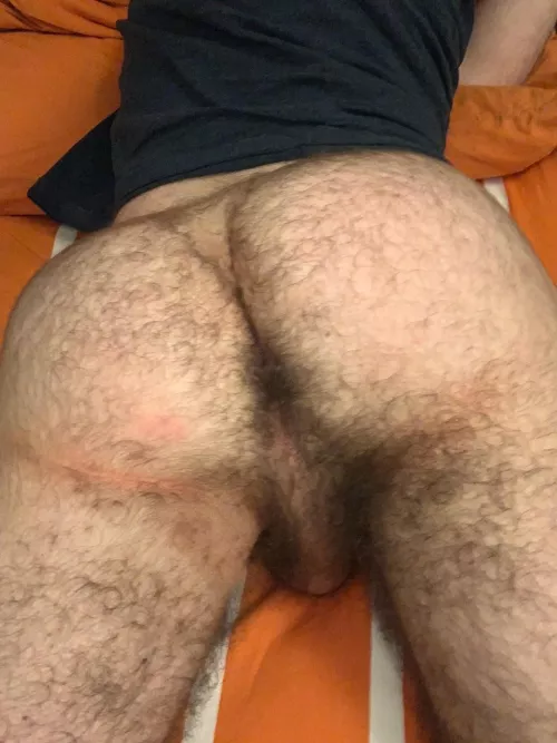 24 in shape with a thicc furry bubble butt. 😏 Add my snap: frbutt1