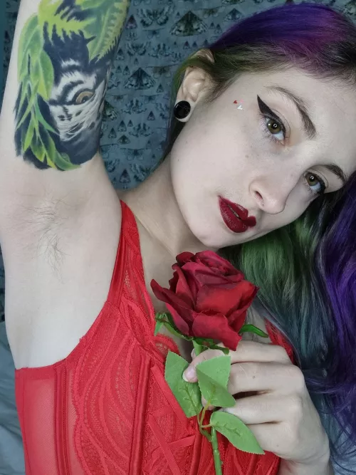 A little bit of fluff and a Valentine's rose for you