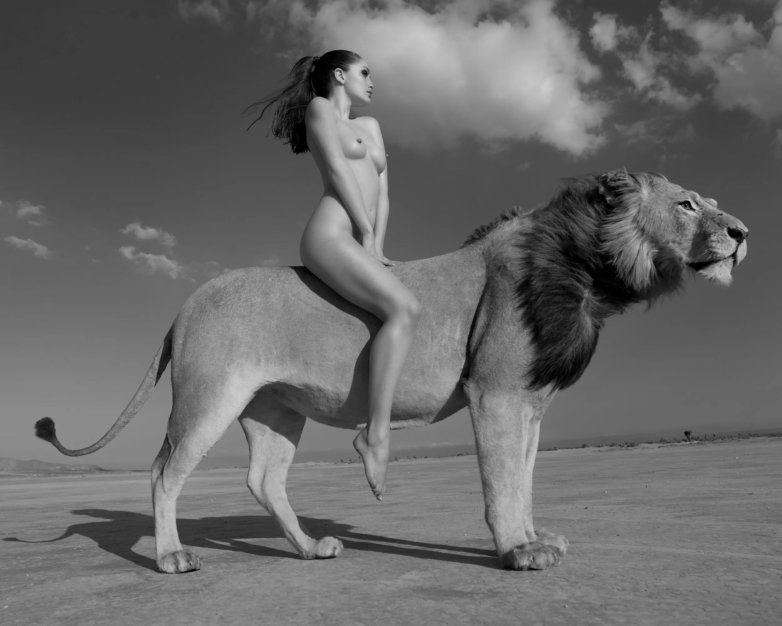 Angela Rides the Lion, by Sylvie Blum