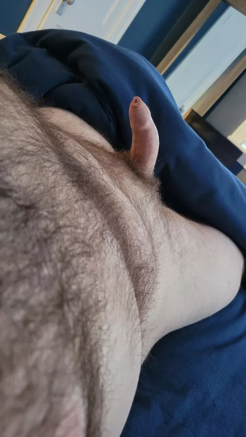 Don't wanna get out of bed