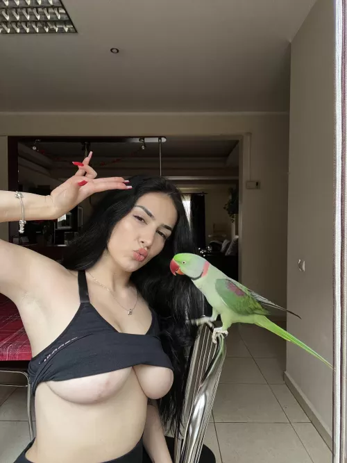 I just love showing them off