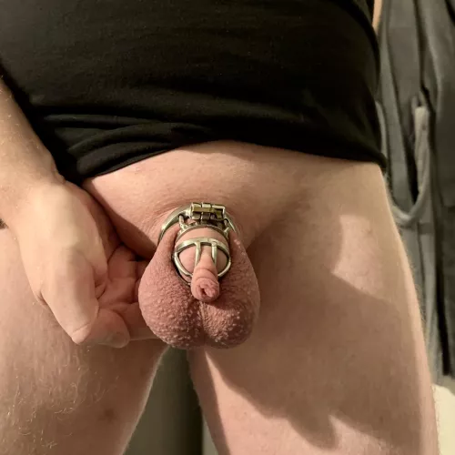 Locked once again 🔒 how long will it be this time?