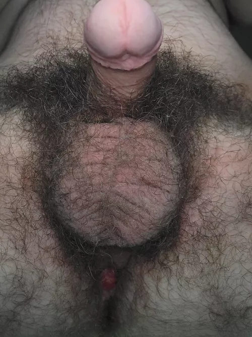 This is your view as I'm sitting on your face!