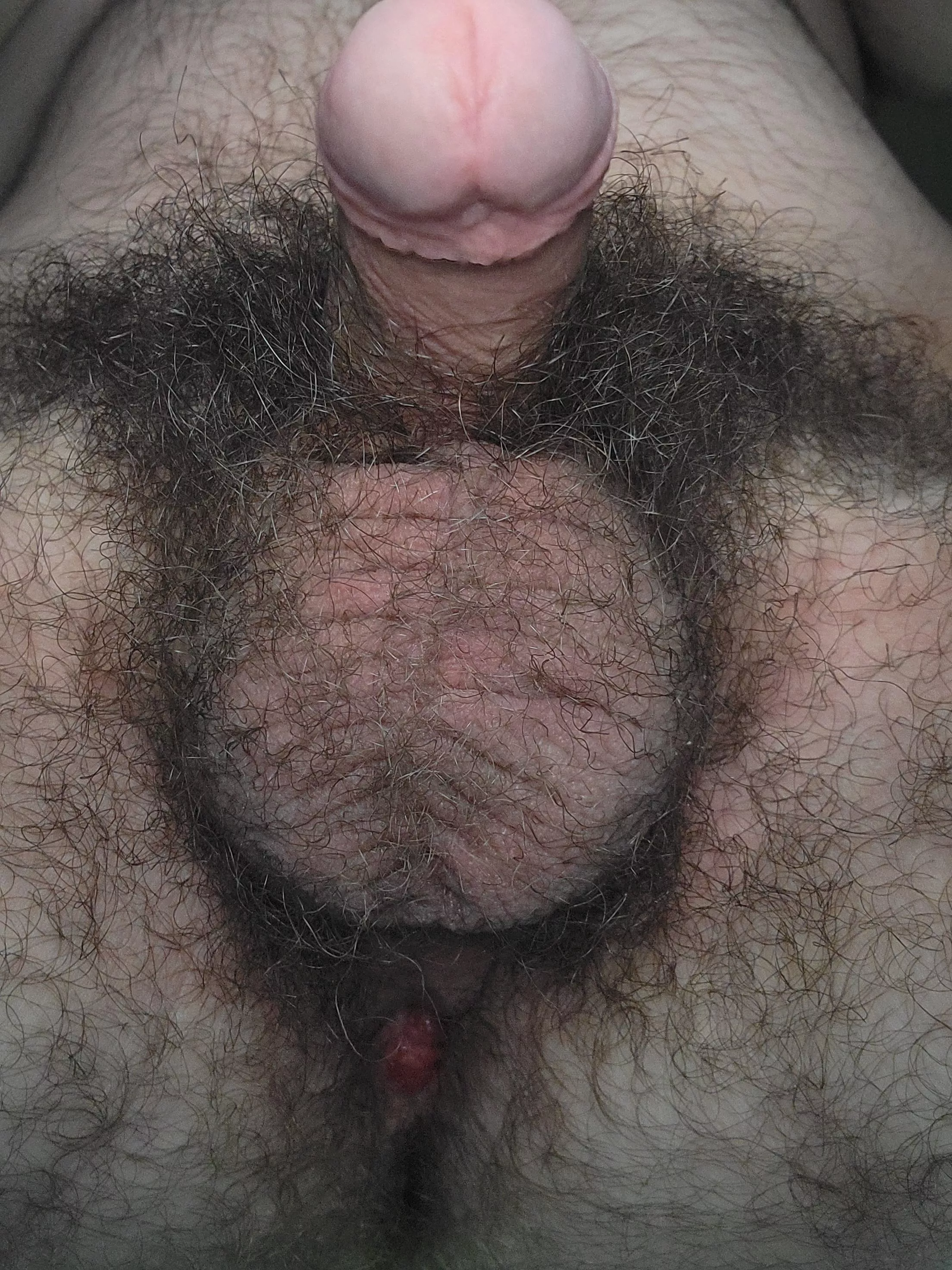 This is your view as I'm sitting on your face!