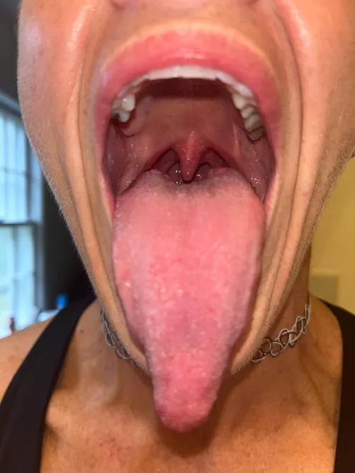 Use my mouth as you please