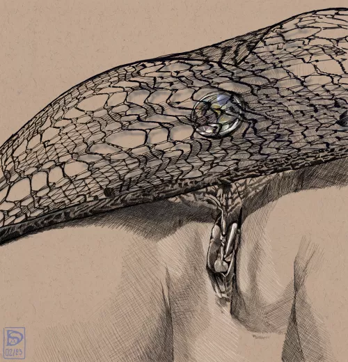 Vulve #30 drawn by me