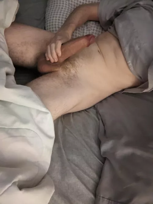 wanna play with my morning wood?