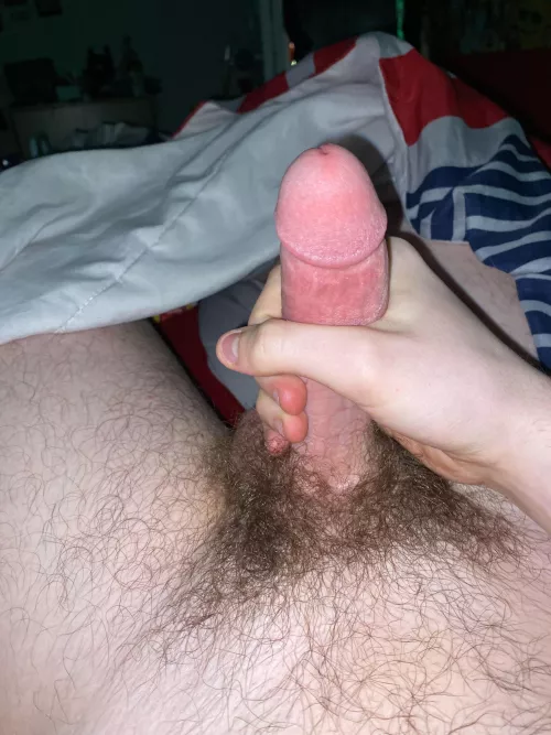 18 Hairy and down to snap just dm me