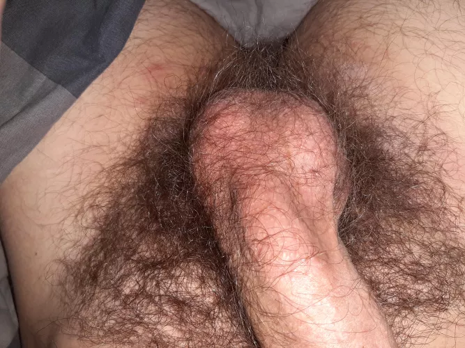 Do you like my bush?