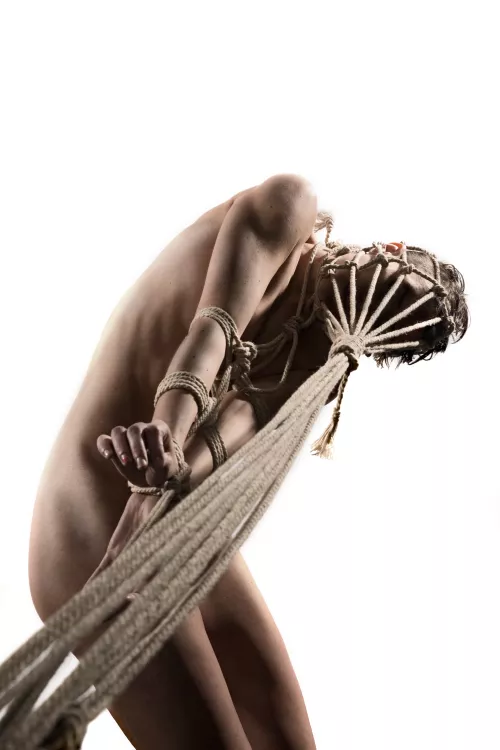 Fay from a while back. Rope and photo by me